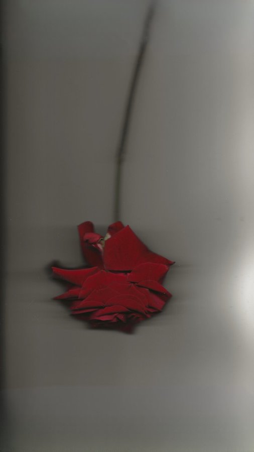 Instagram post by @cherifaakili for EDITED. Caption reads: [...] - suit edition. 
featuring the new....