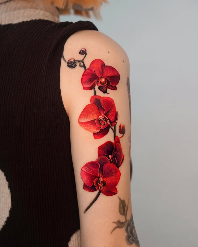 Instagram post by @myungdo___ for Pepax Official. Caption reads: Orchids 🩸 Thanks For. @huxi.tatt Sponsored....