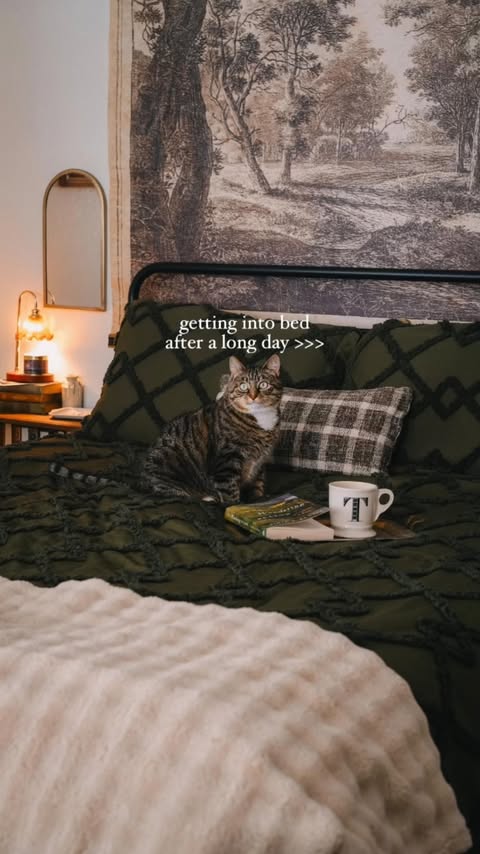 Instagram post by @cosyacademia for Bedsure Home. Caption reads: [...] this lifestyle is cozy bedding and....