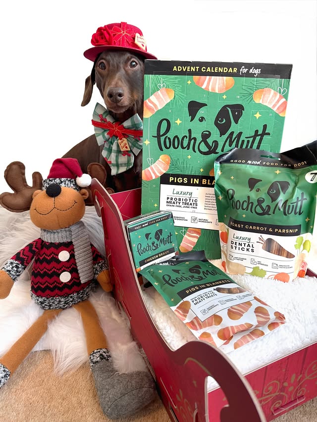 Instagram post by @frankie_dachshund03 for Pooch and Mutt. Caption reads: Did you shop the Xmas goodies?
@poochandmutt 
You....