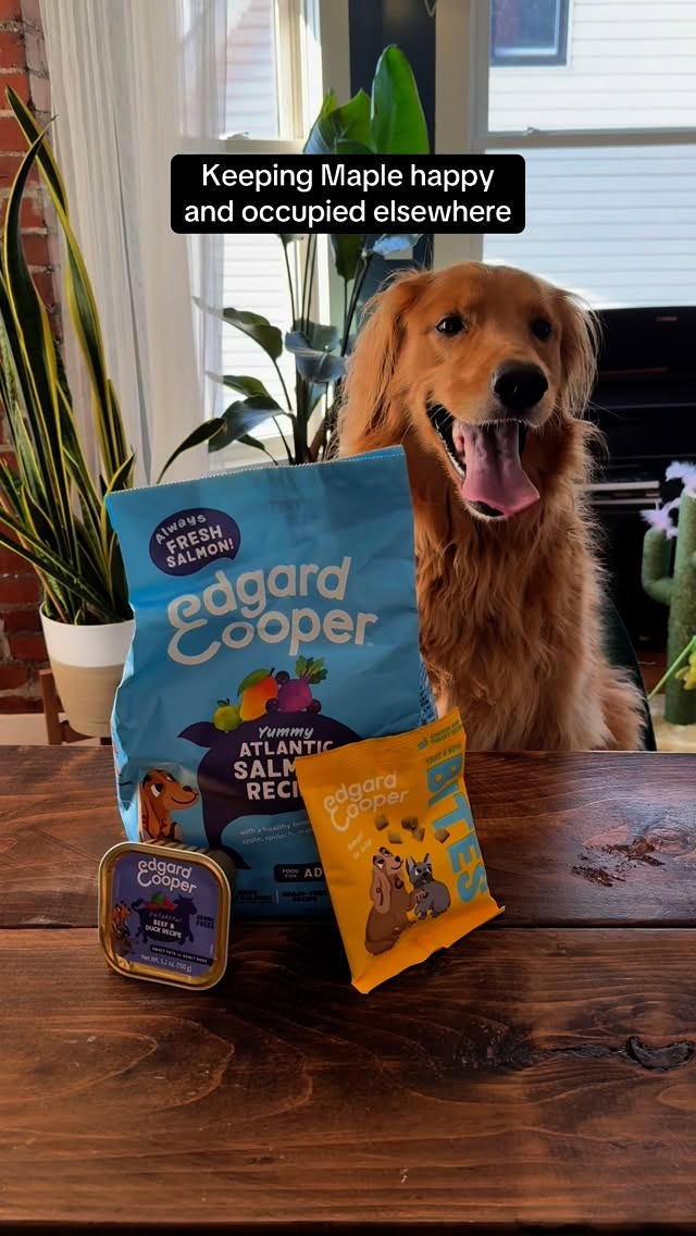 Instagram post by @thegoldenbreakfastclub for Edgard & Cooper. Caption reads: #EdgardCooperPartner What gets your dog up in the....