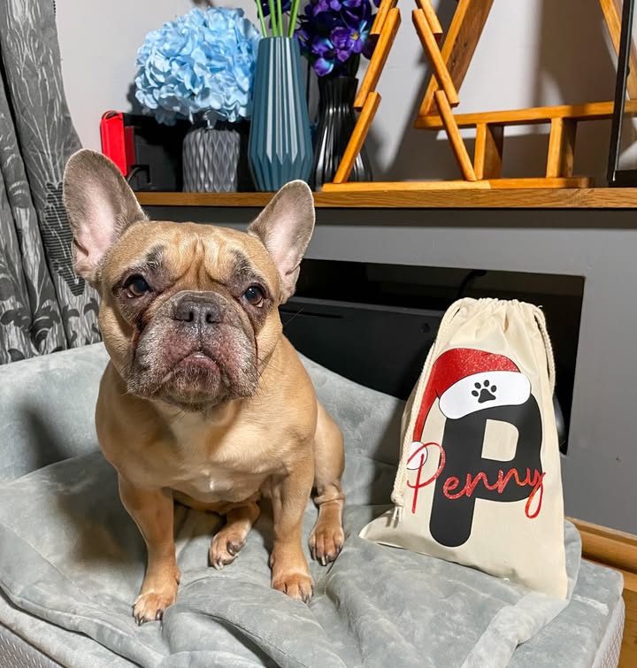 Instagram post by @prettypennyandindy for Fur the Love of Toys. Caption reads: When you know the 1st of December means only one....