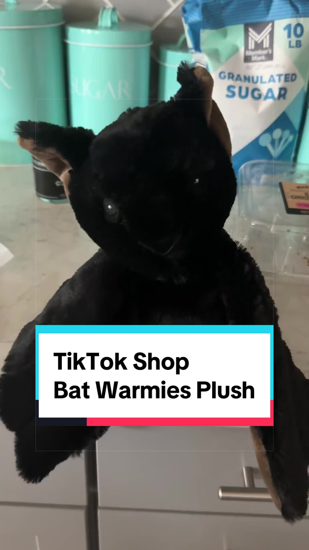 TikTok post by @midnightpursona for Warmies. Caption reads: @Warmies these little plushies are so cute and so....