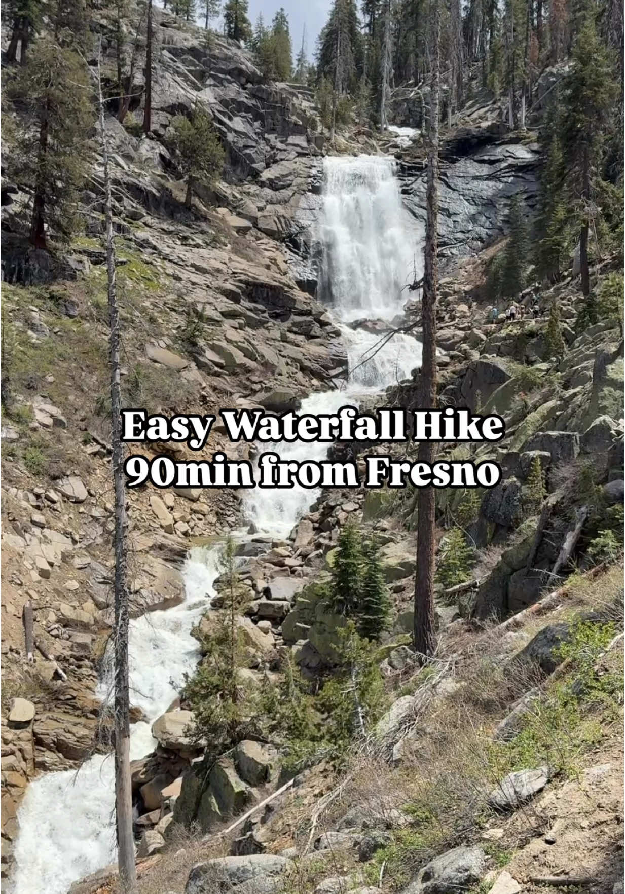 TikTok post by @cassiescompass for The Squeezed Juice. Caption reads: [...] fav local hike. I brought @thesqueezedjuice....