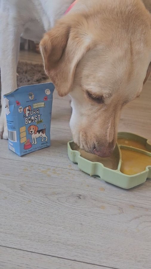 Instagram post by @odinandastrid_ for Furr Boost. Caption reads: Sometimes all you need is a yummy Furrboost out of....