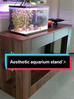 TikTok post by @itsleoaquatics for VOWNER. Caption reads: Big tank coming soon ✨🤩 @VOWNER #FishTok....