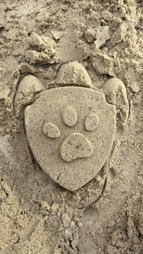 Instagram post by @cierahudson for PAW Patrol. Caption reads: [...] families best ROARRRR and don’t miss PAW....