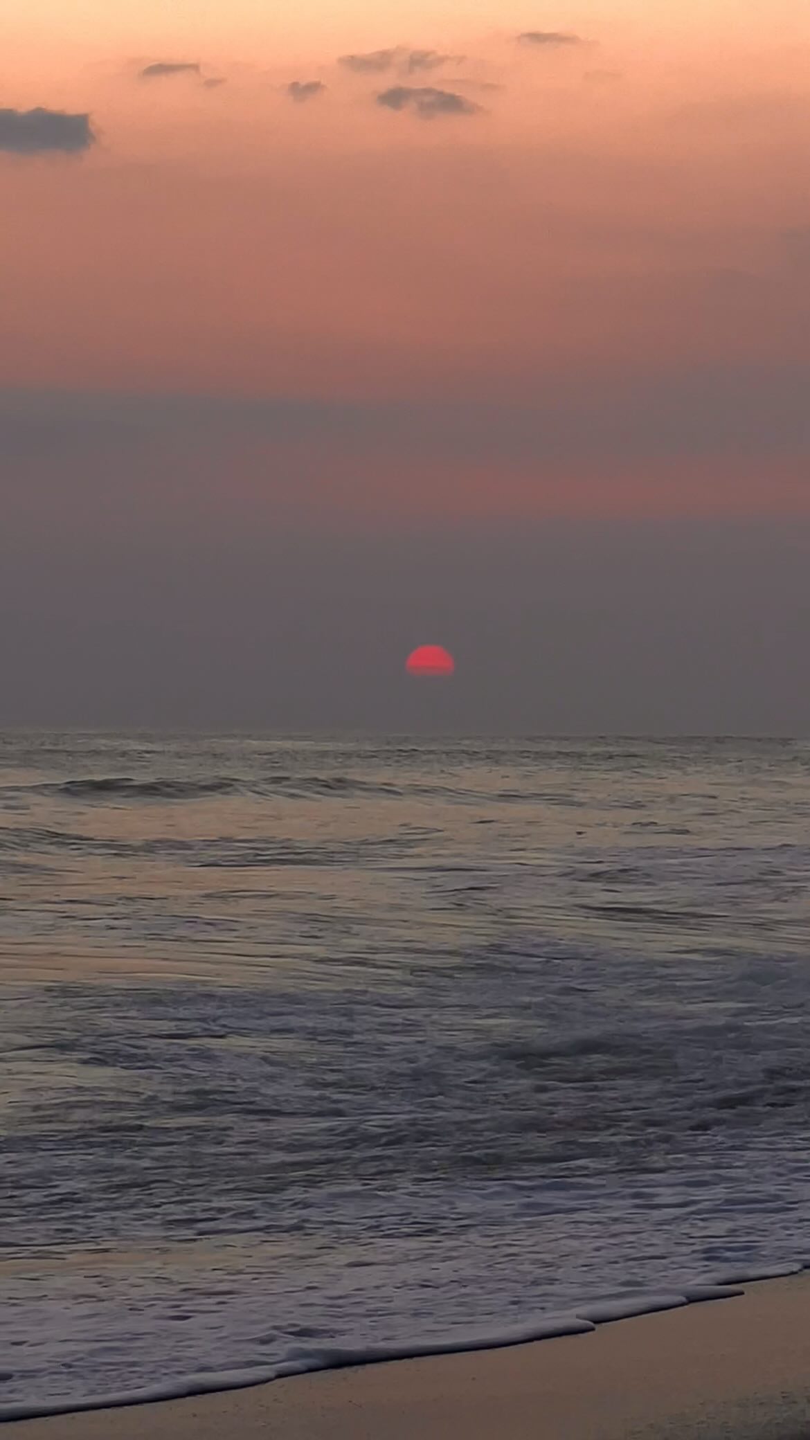 Instagram post by @sofimontojo for THE-ARE. Caption reads: all I need🌞🌺🍹 @thearecom (a d).