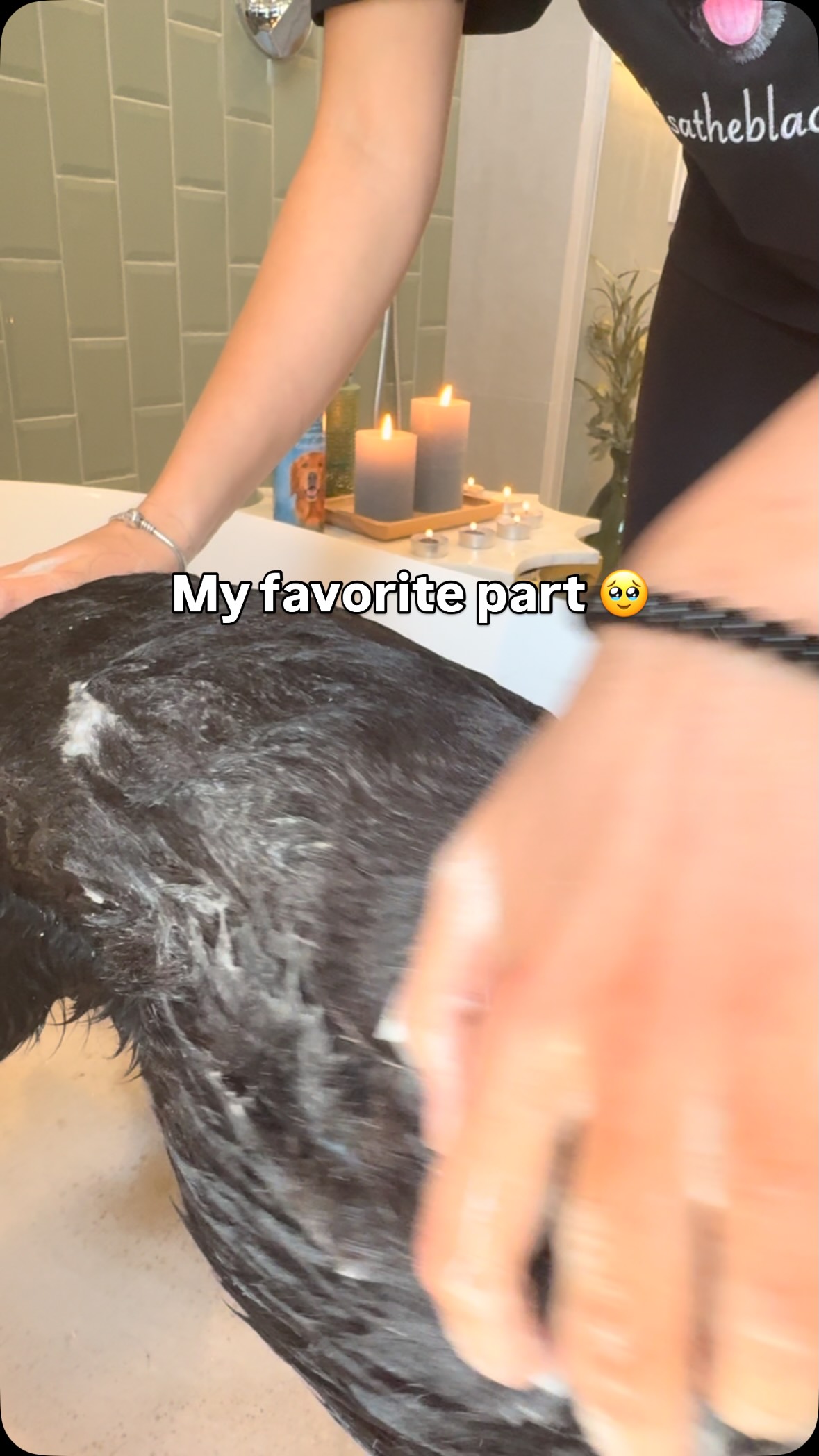 Instagram post by @lisatheblacklab for WeRateDogs. Caption reads: Join me for my bath routine featuring....