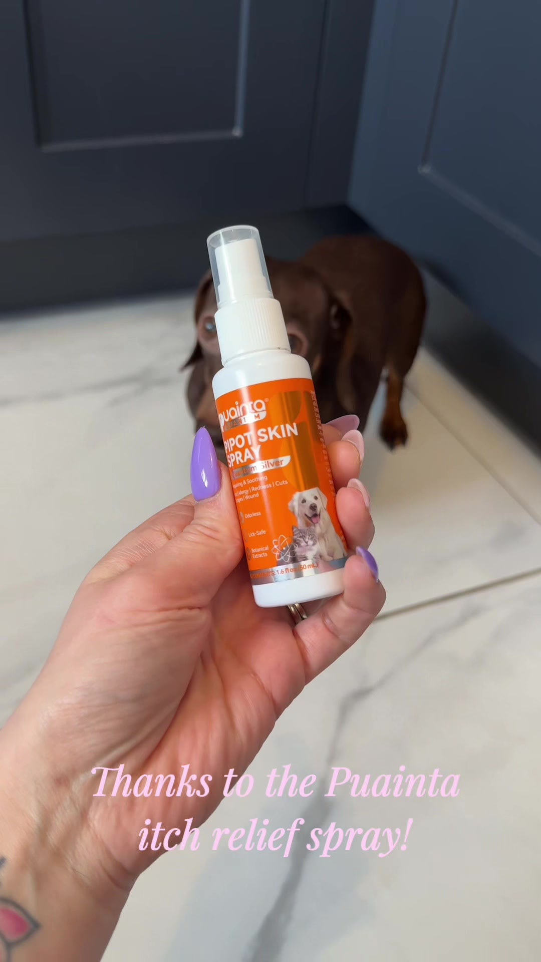 TikTok post by @life_with_4_sausages for Puainta. Caption reads: Giving my dog itch relief thanks to @Puainta UK.