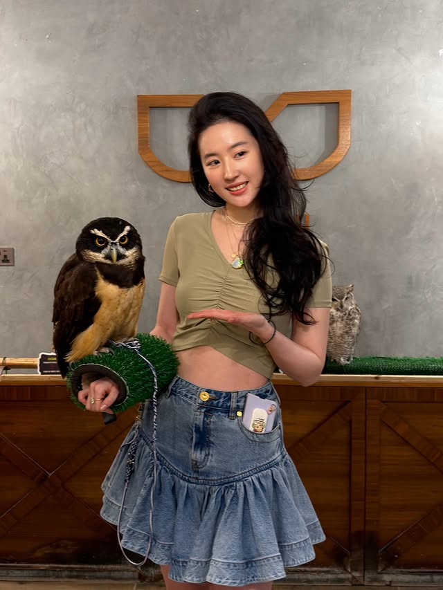 Instagram post by @yifei_cc for Visit Abudhabi. Caption reads: Thanks for the fun visit! @visitabudhabi.