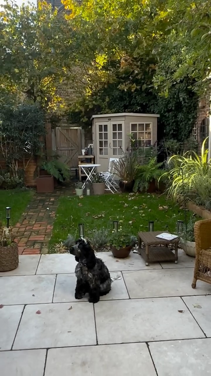 Instagram post by @my_renovating_diary for Ultenic. Caption reads: Mission Impossible. Trying to beat the leaves and....