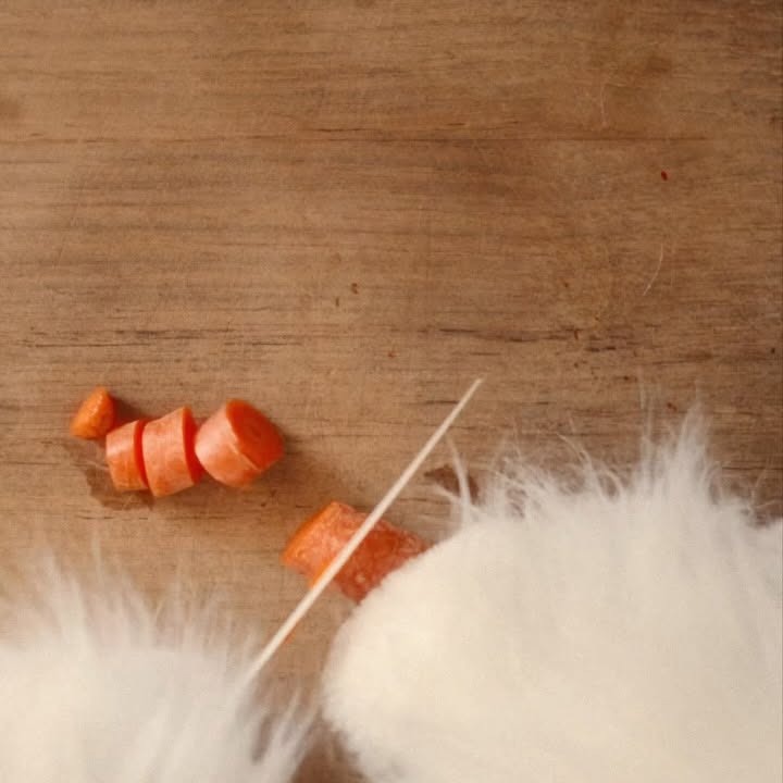 Instagram post by @estelamaca for Edgard & Cooper. Caption reads: 🐾✨ Si las mascotas cocinaran… harían las recetas....