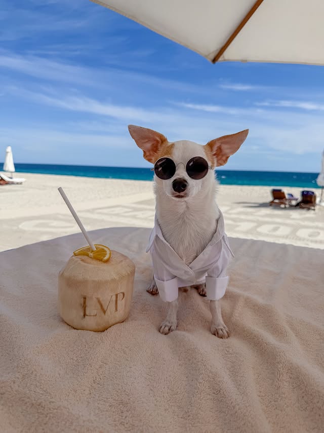 Instagram post by @baothechi for Rosewood Hotels & Resorts. Caption reads: Hola! From Mexico 🇲🇽 @lasventanasalparaiso....