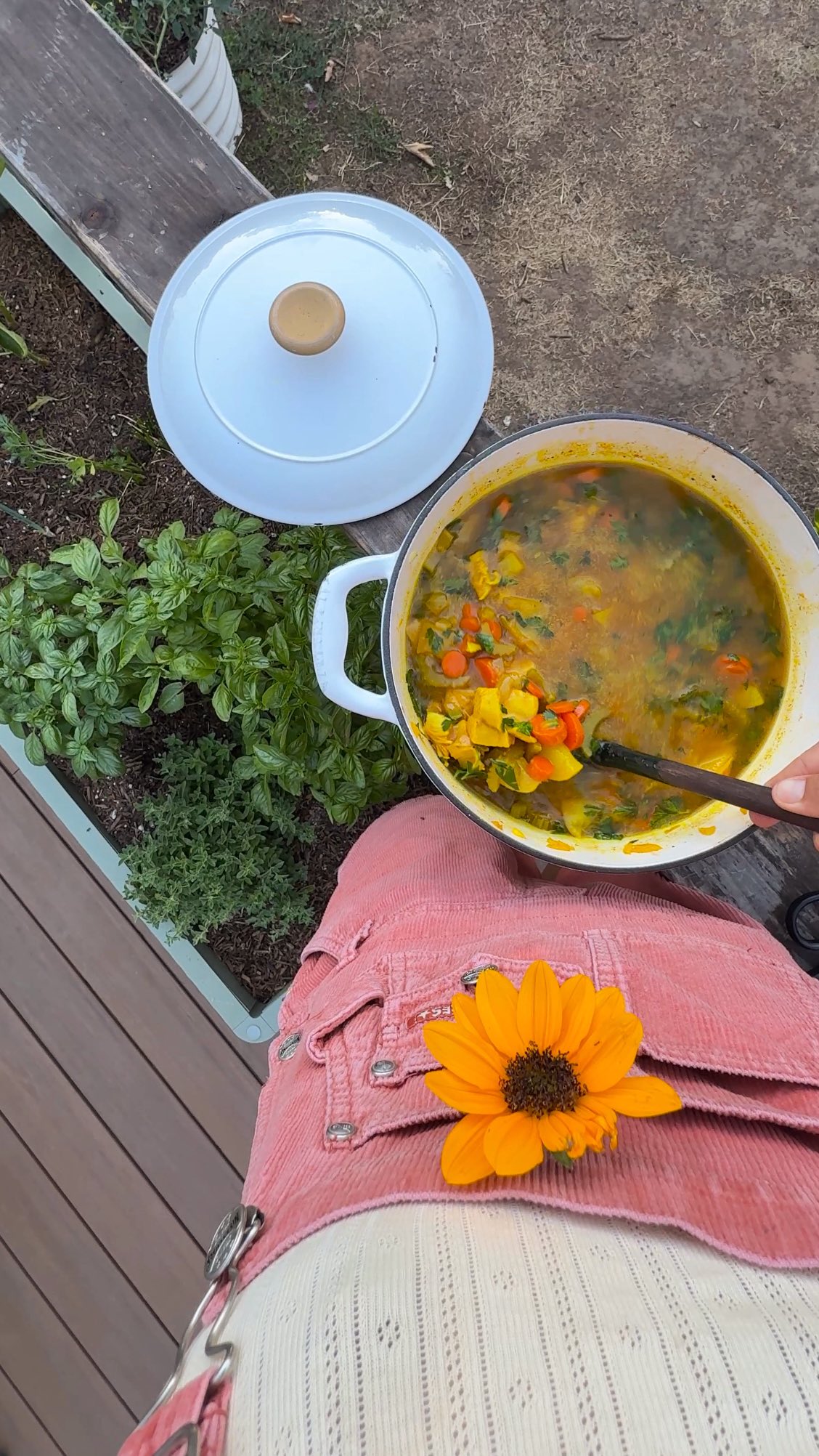 Instagram post by @wholehanna for Primally Pure. Caption reads: skin + gut-loving turmeric chicken soup 🍂

made....