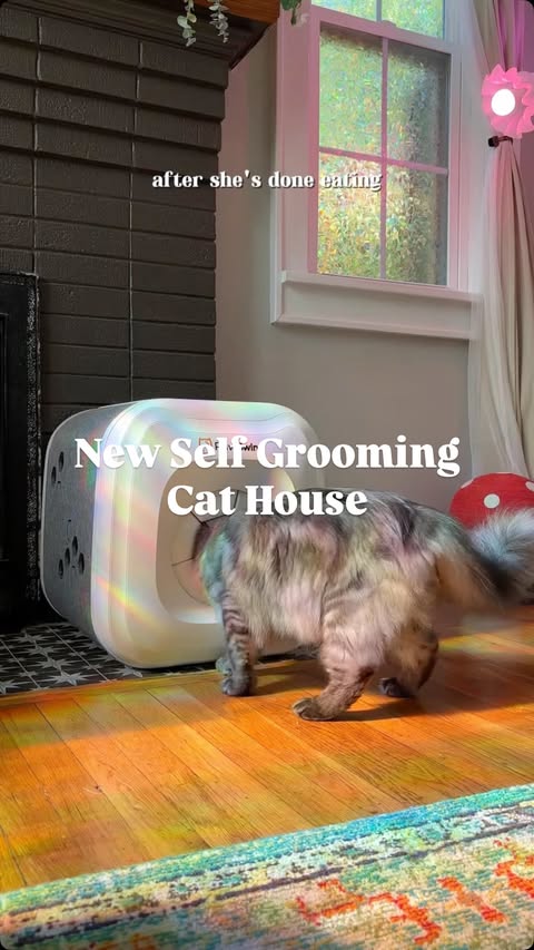 Instagram post by @nhonsworld for Kickstarter. Caption reads: [...] their fur 😂

Link in bio for their....