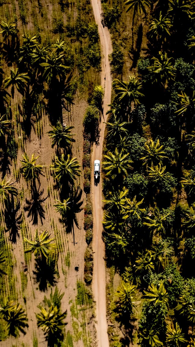 Instagram post by @ambertorrealba for Freestyle Watches. Caption reads: [...] link in bio. 🖤

Presented by:....
