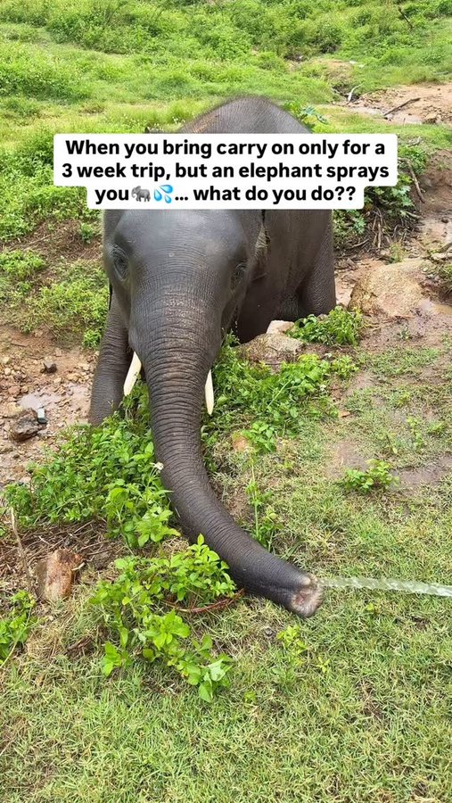 Instagram post by @whatrvdoing for The Scrubba. Caption reads: [...] What are you doing?! 

With the @thescrubba....