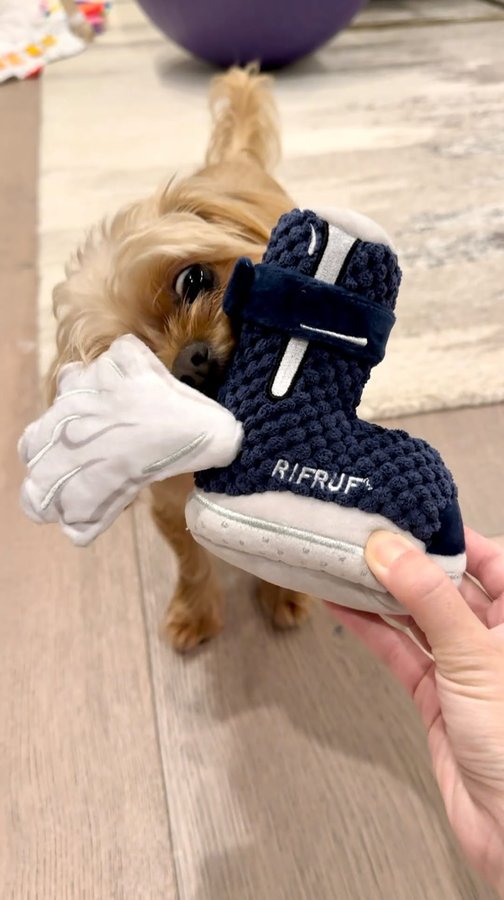 Instagram post by @butters.thepup for RIFRUF. Caption reads: [...] stuffed sneaker toy brought to you by....