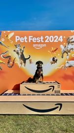 Instagram post by @thedogvine for Amazon Pets. Caption reads: Amazon Pet Fest blew us away 🤩🐶⤵️

Here’s what....