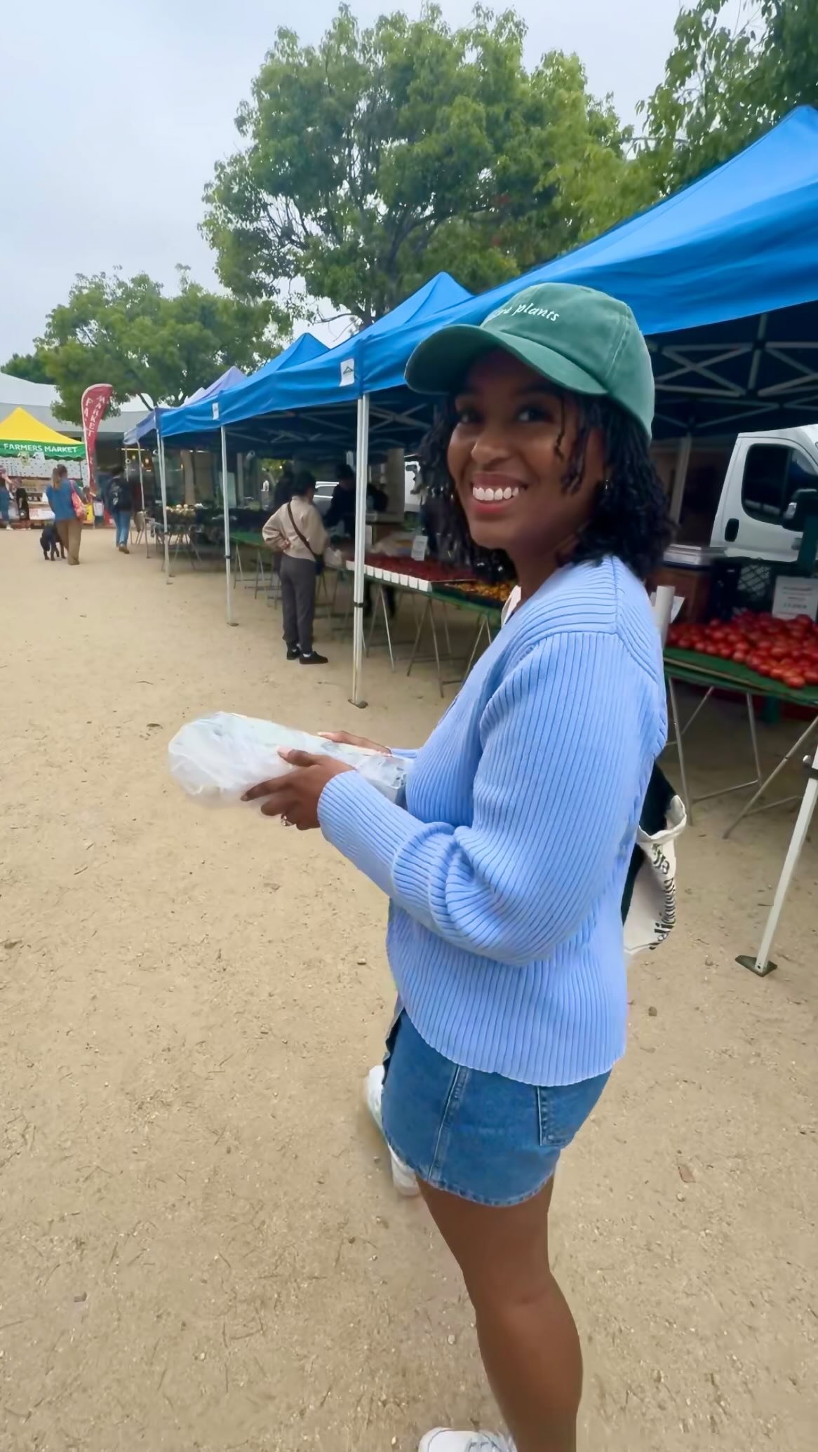 Instagram post by @saltnsprinkles for Ziploc. Caption reads: #ZiplocPartner Let me show you exactly what....