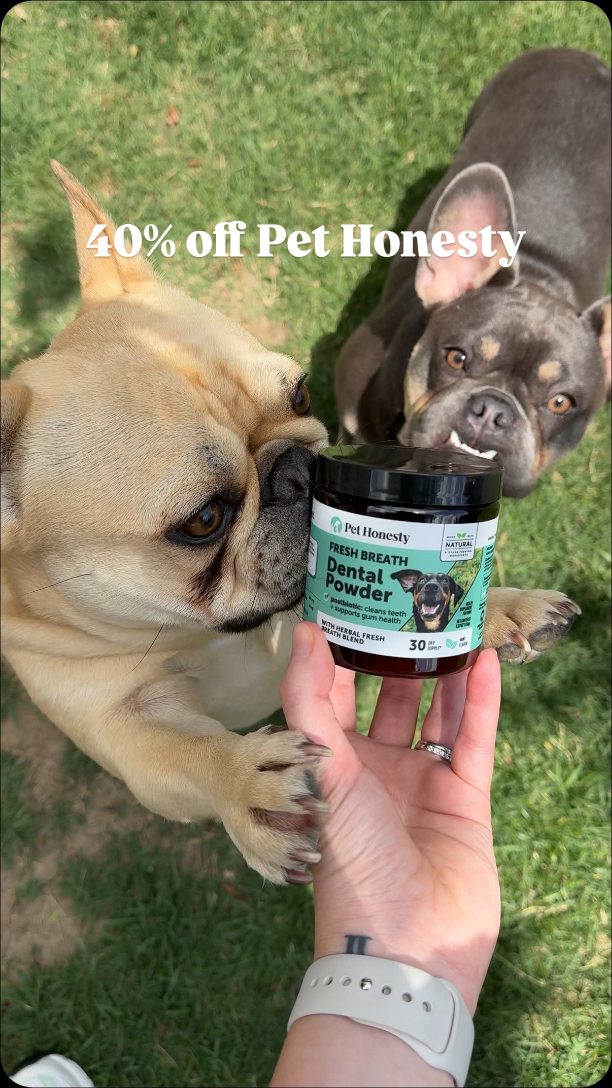 Instagram post by @freddie.and.bruno for PetHonesty. Caption reads: [...] great deals July 8th-11th on Amazon....