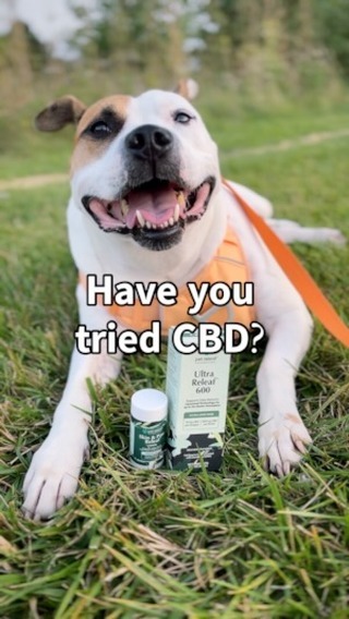 Instagram post by @coffeedreamsandmilkbonewishes for Pet Releaf. Caption reads: [...] out some of the great products from....