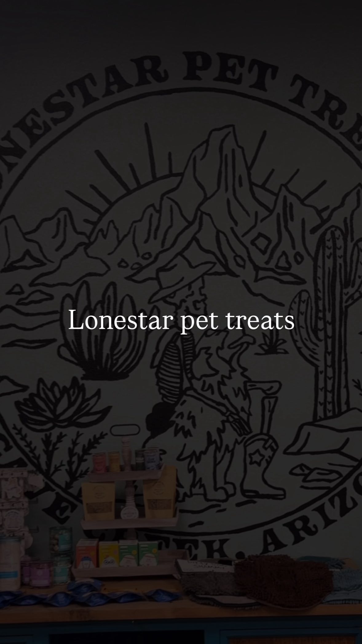 Instagram post by an influencer for Lonestar Pet Treats LLC. Caption reads: You have to try out their shampoo station! 👀....