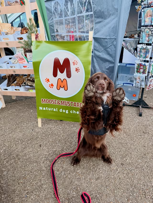 Instagram post by an influencer for Moose & Mustard. Caption reads: Happy Treato Tuesday 😋 Put your paws up if you....