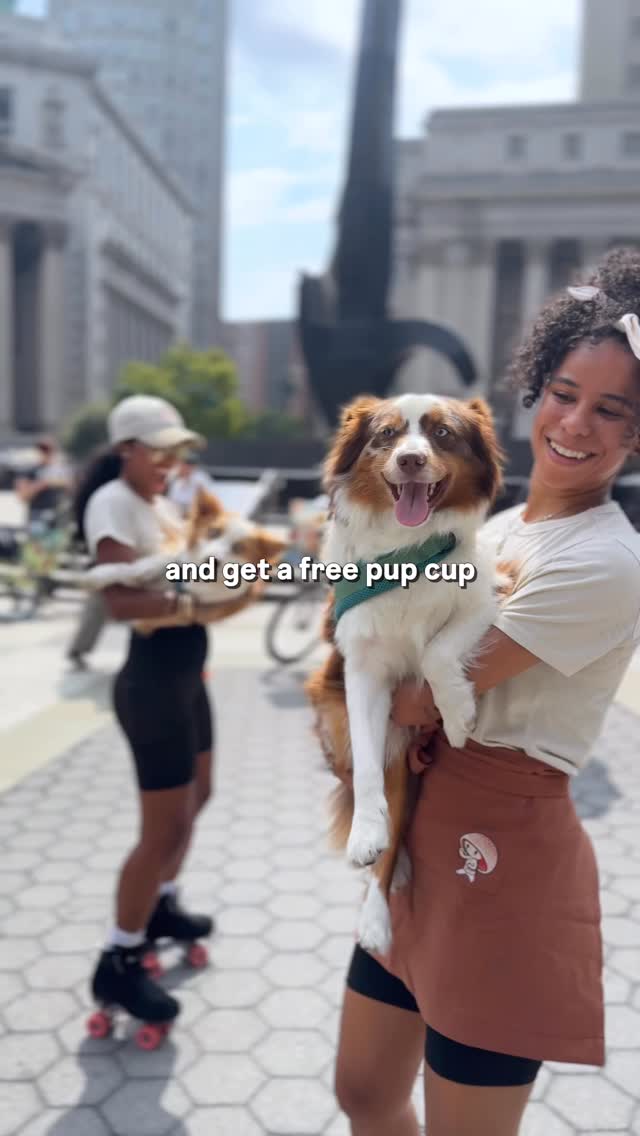 Instagram post by @mattyandkaido for RYZE Superfoods. Caption reads: Never know what to expect in NYC! Go catch....