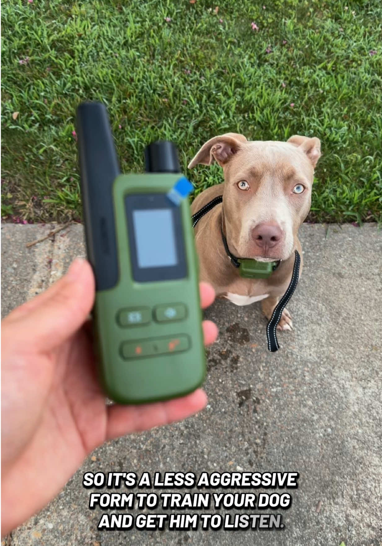 TikTok post by @eveelynnnlopez for Jugbow. Caption reads: [...] has improved because of this ! 🙂‍↕️🐾✨....