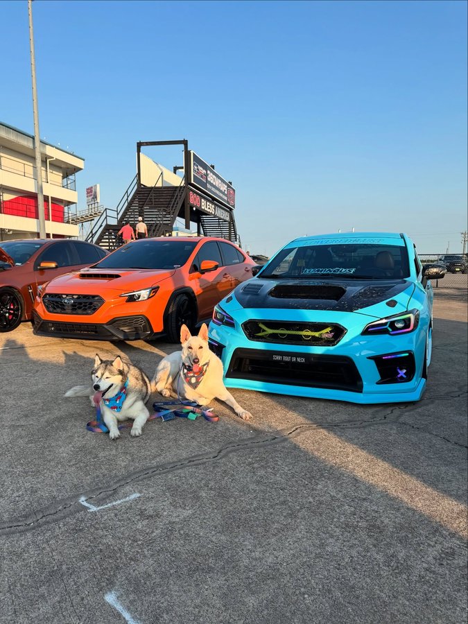 Instagram post by @feistii_rach for Billetworkz. Caption reads: Dear diary - yesterday was a lot of fun 🥹🤗 . .....