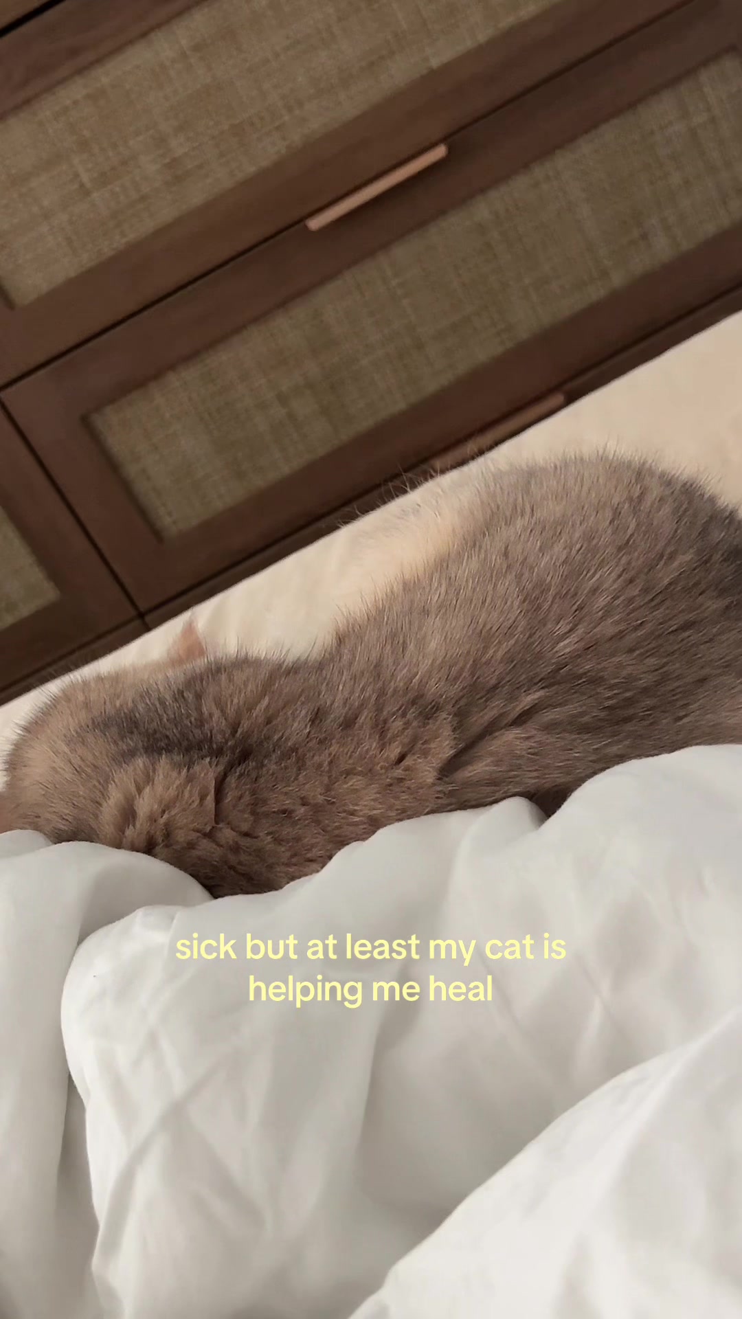 TikTok post by @mango.kittycat for SICOTAS. Caption reads: side note - my new dresser from @SICOTAS is....