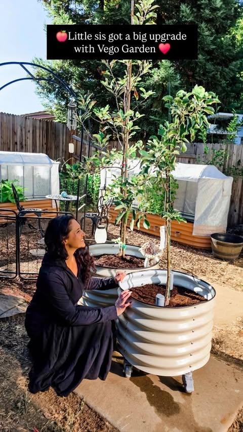 Instagram post by @theclassymamabear for Vego Garden. Caption reads: [...] wait to move her into the new Vego Garden....