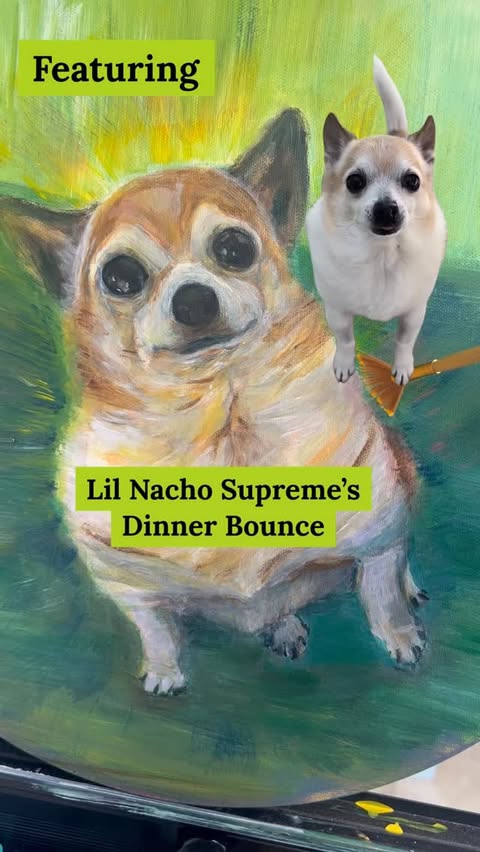 Instagram post by @lil.hobbs for The Farmer's Dog. Caption reads: [...] happy bounce and his favorite food,....