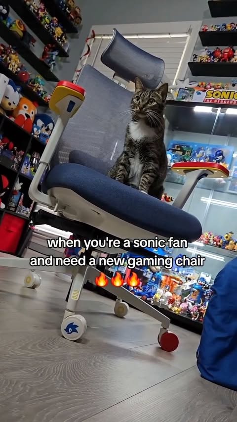 Instagram post by @sunkiiwrld for SEGA. Caption reads: Every Sonic fan needs this @sega x....