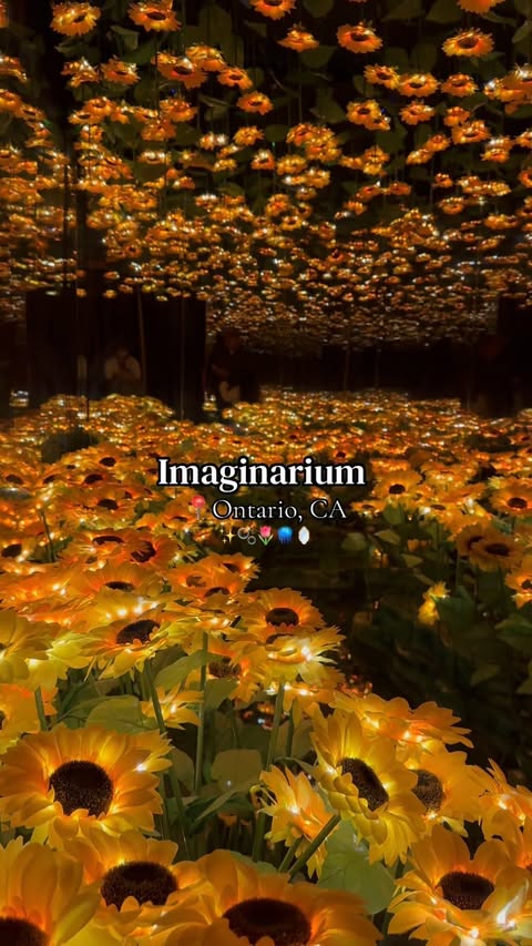 Instagram post by @__omgmariaa for Imaginarium360. Caption reads: [...] to use code: __omgmariaa to save!!!....