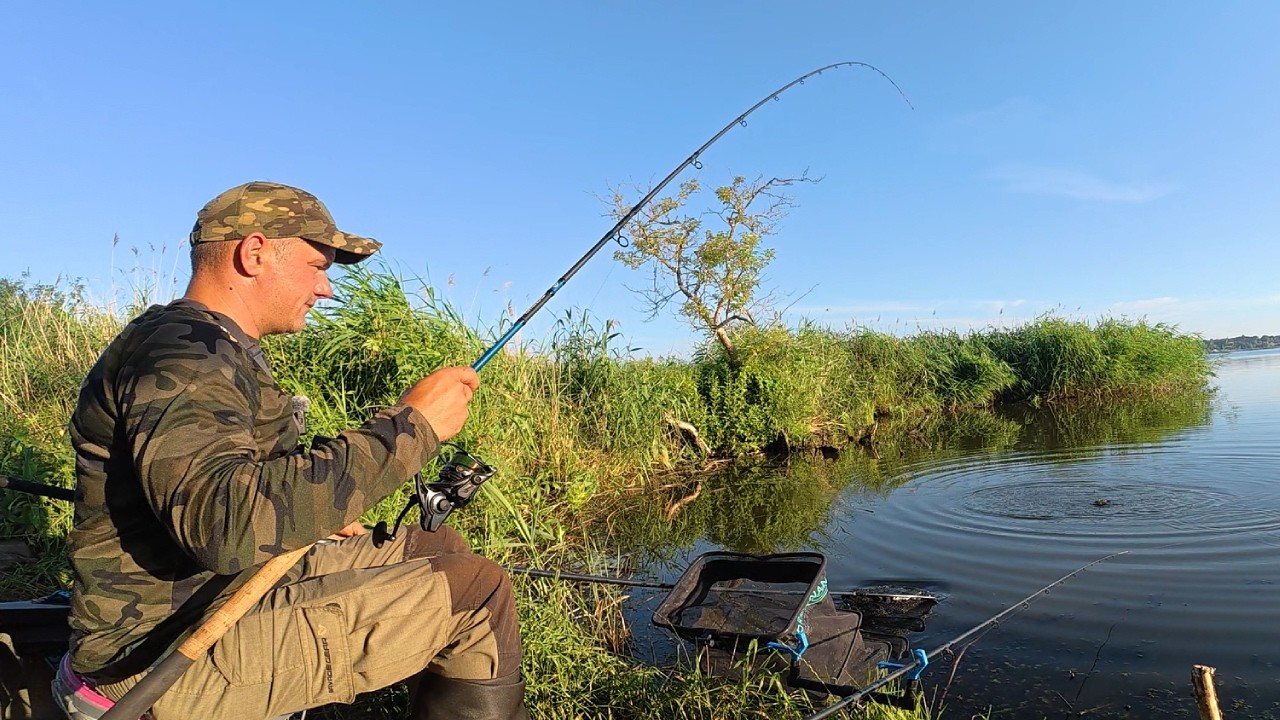YouTube post by @primanki for fas.st. Caption reads: RIGHT BY THE REEDS !!! A NET FULL OF FISH !!!.