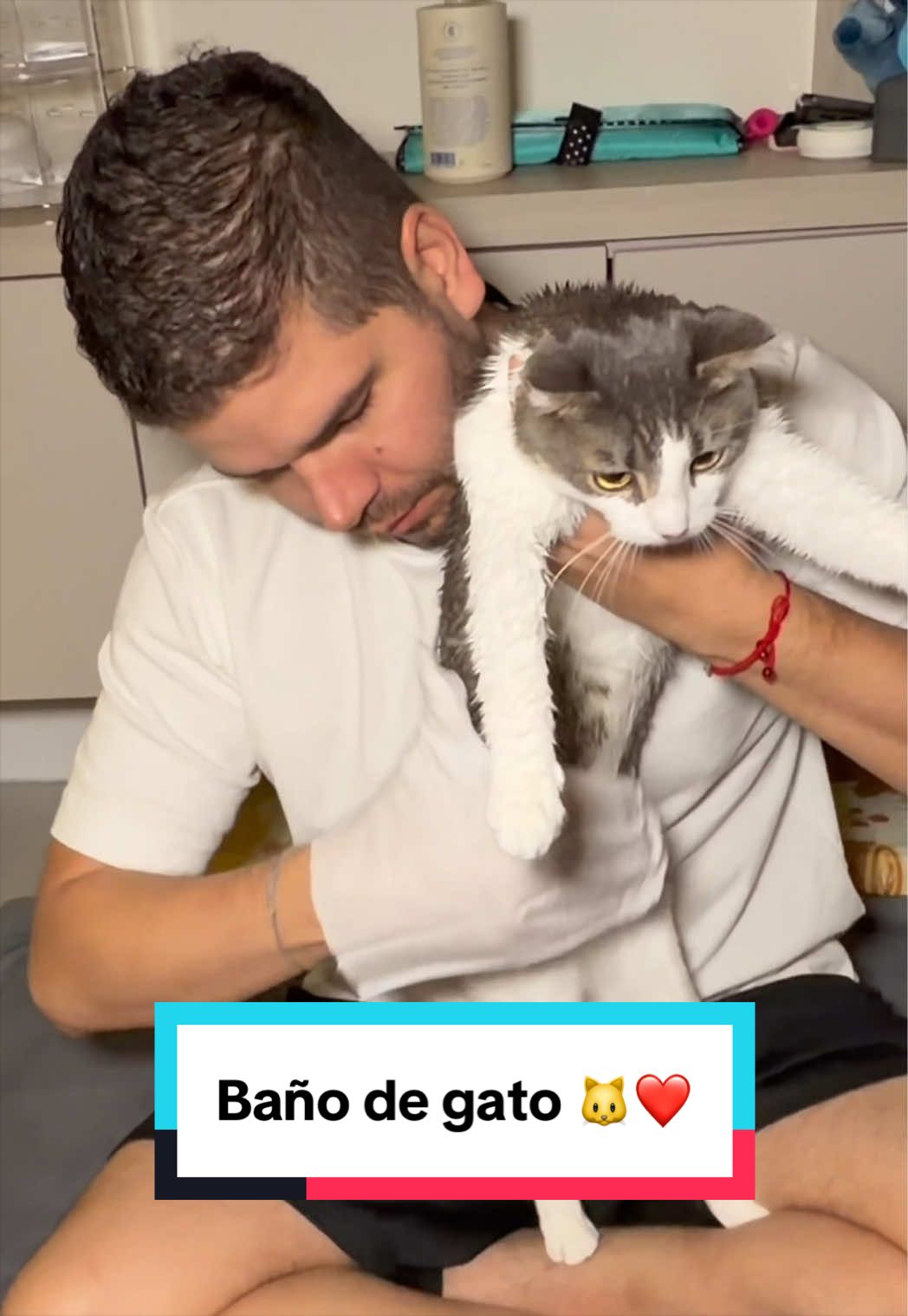 TikTok post by @91chavi for HICC Pet. Caption reads: Rutina de baño de mi gato 🐱❤️ @HICC Pet US Código....