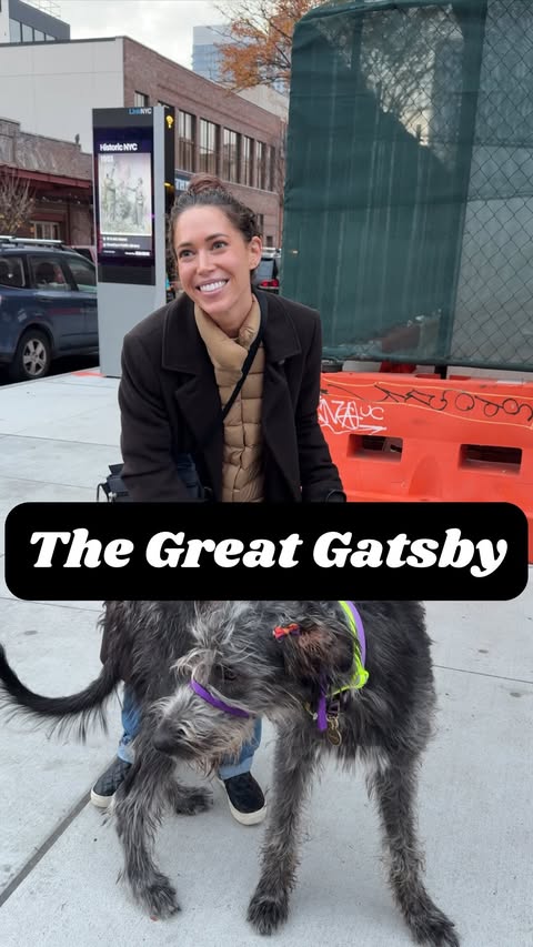 Instagram post by @bestiesnyc for ACANA Petfoods. Caption reads: We had so much fun stopping Gatsby and her best....