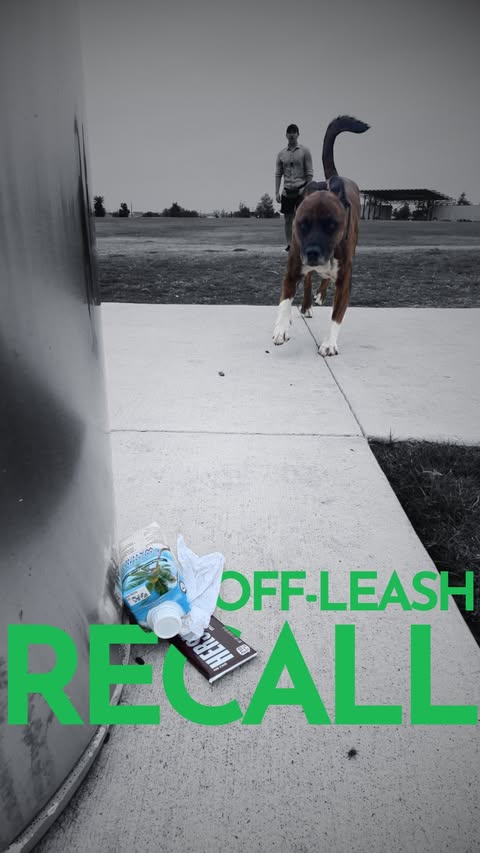 Instagram post by @thepainfreepettrainer for Sniffspot. Caption reads: A MUST-TRAIN behavior! #ad #dogtraining....