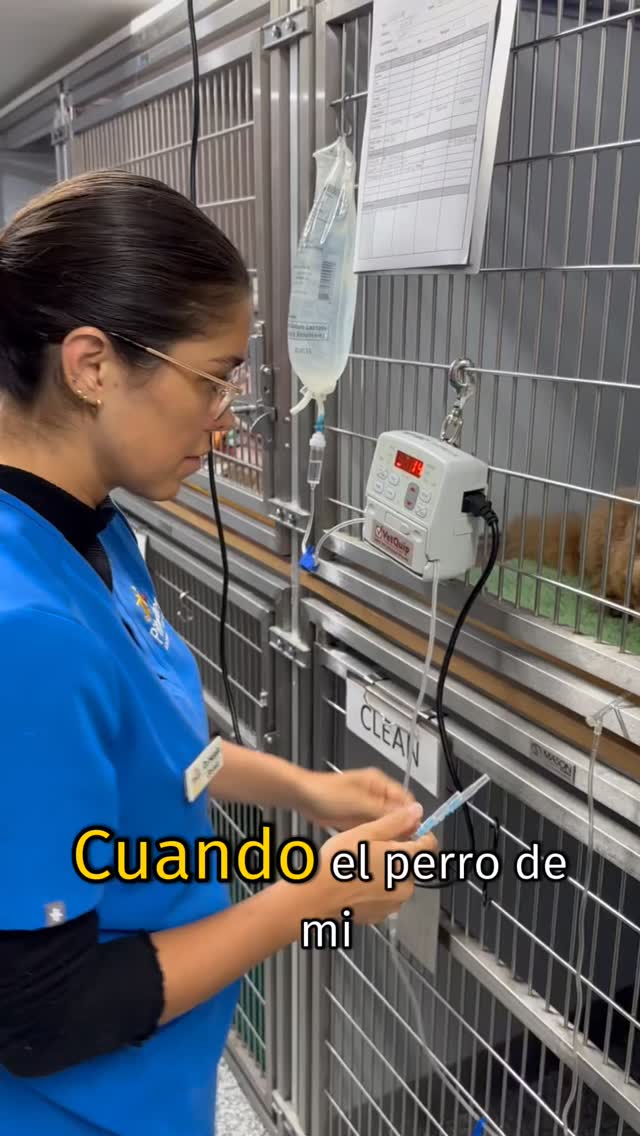 Instagram post by @nataliathevet for Western Union. Caption reads: Here's how @westernunion helped me on my path to....