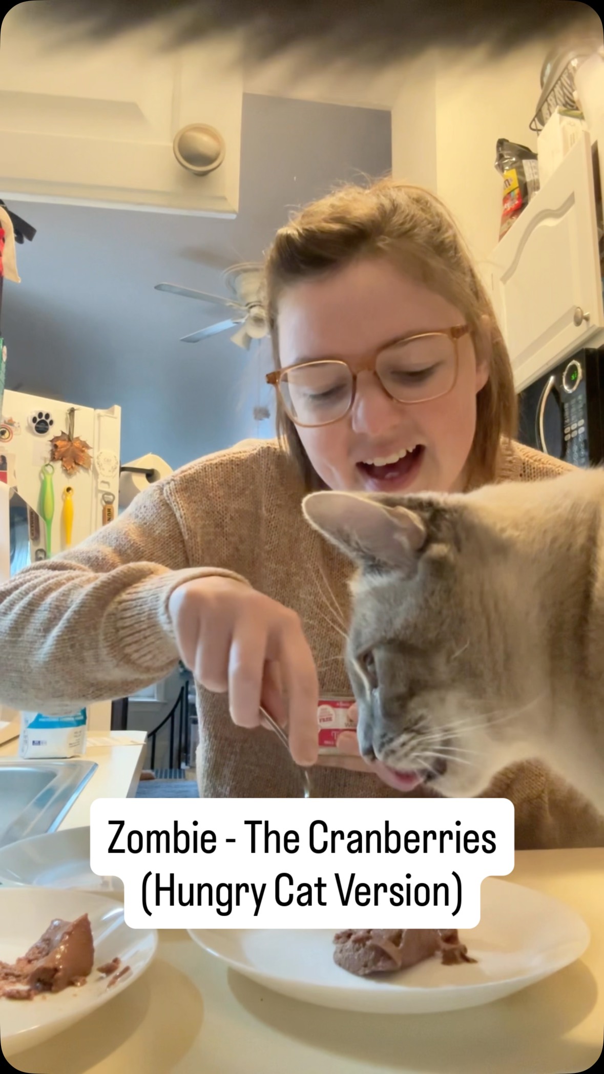 Instagram post by @meowfecta for Weruva. Caption reads: Hongreh 🧟‍♀️🐱
…for @weruva tic tac whoa! One of....