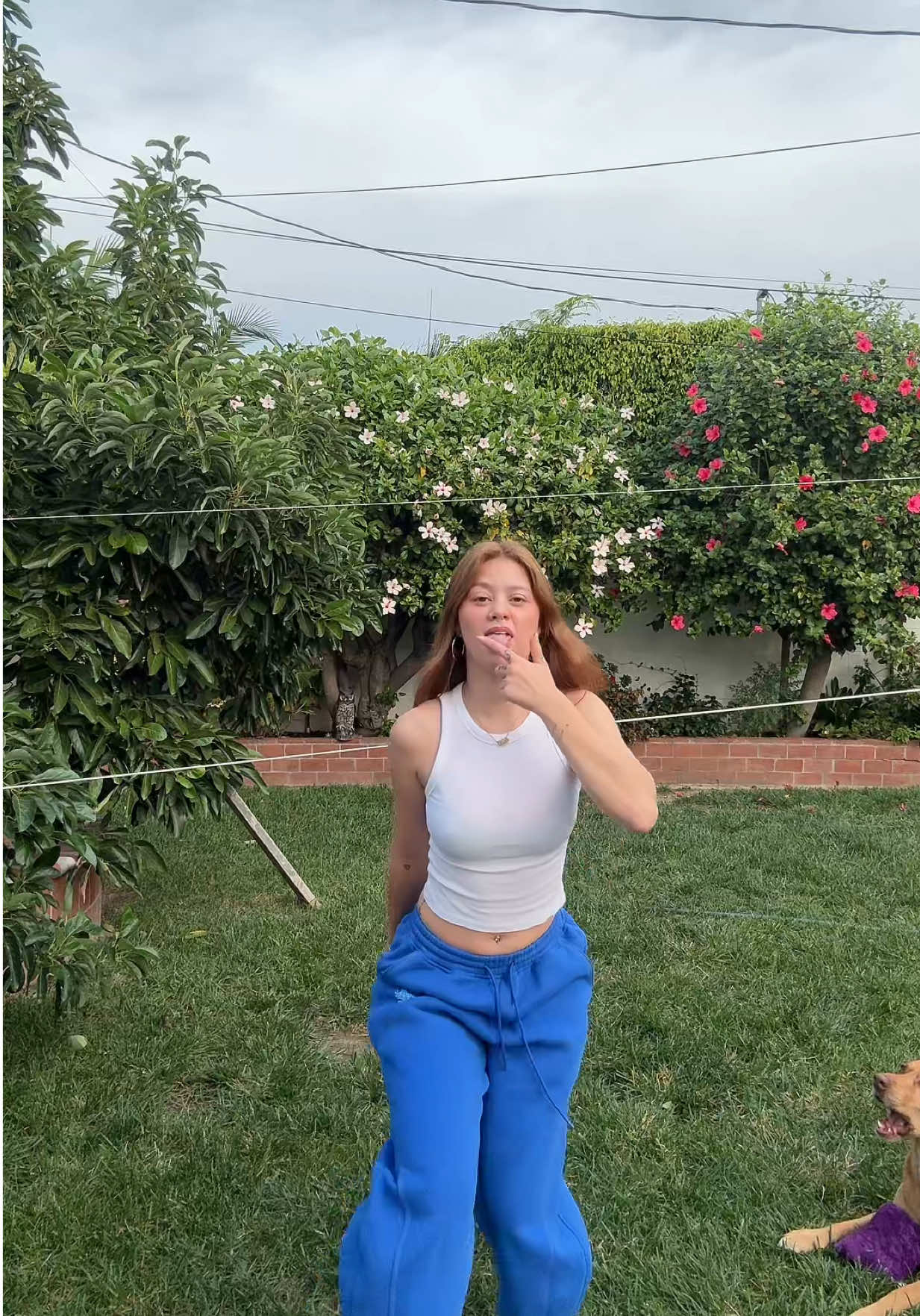TikTok post by @paaiiggey for Aelfric Eden. Caption reads: [...] Baptiste 💙 sweatpants from....