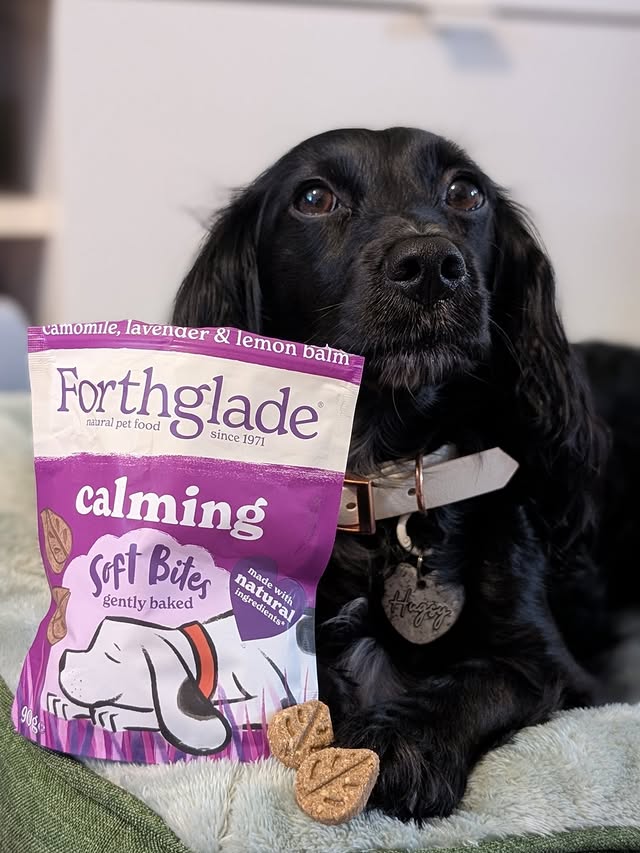 Instagram post by @hugsydaisy for Forthglade. Caption reads: [...] around here! Luckily, I’ve got my....