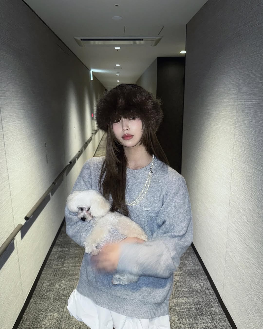 Instagram post by @sakichanman_you for JP.SHEIN.COM. Caption reads: はくちゃんトリミングいってふわふわになった🐩かわ.