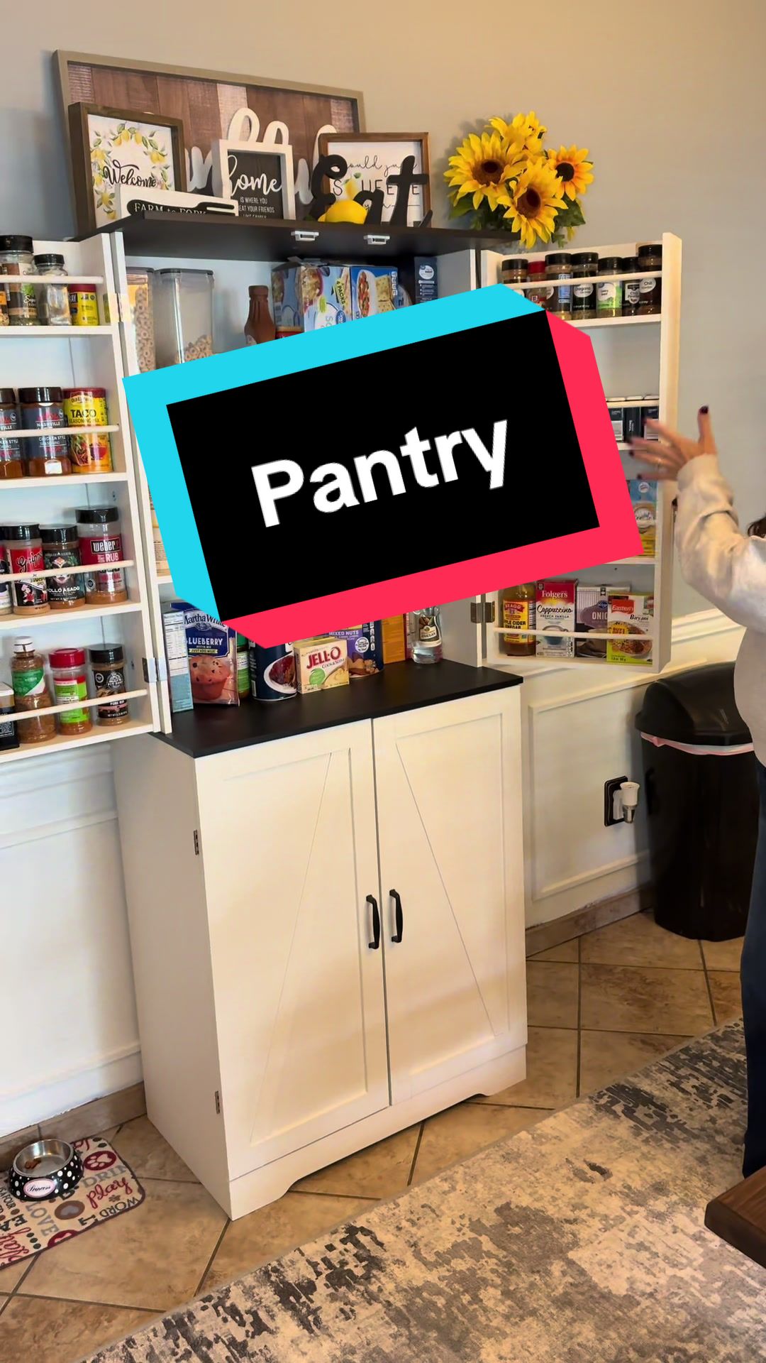 TikTok post by @steph_and_joey for Walsunny. Caption reads: [...] with no pantry, this is a must! @Walsunny....