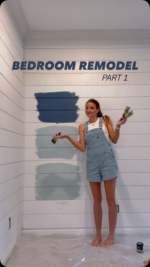 Instagram post by @lizpacini for Benjamin Moore. Caption reads: WHICH COLOR SHOULD I CHOOSE?! 👀 Yes shiplap is....