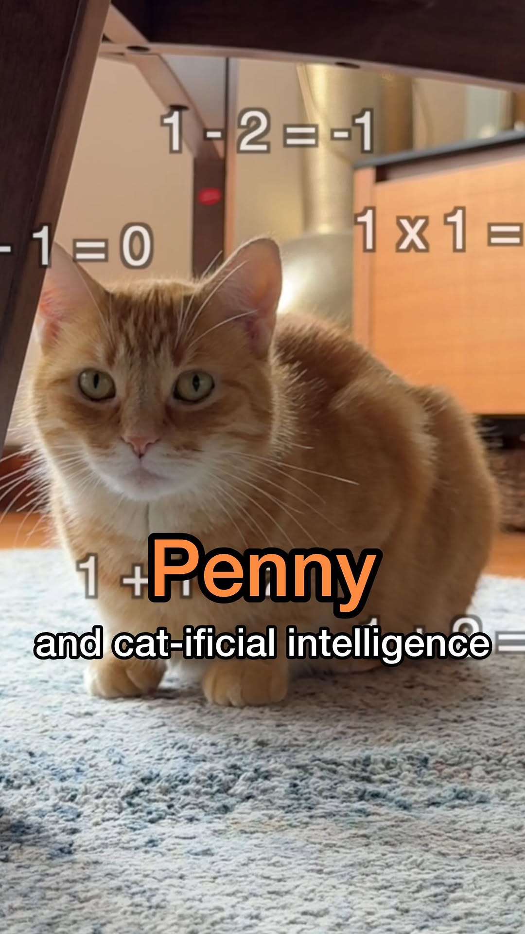 Instagram post by @pennythegingercat for Litter-Robot. Caption reads: cat-o-mation. cat-ificial intelligence. who needs....