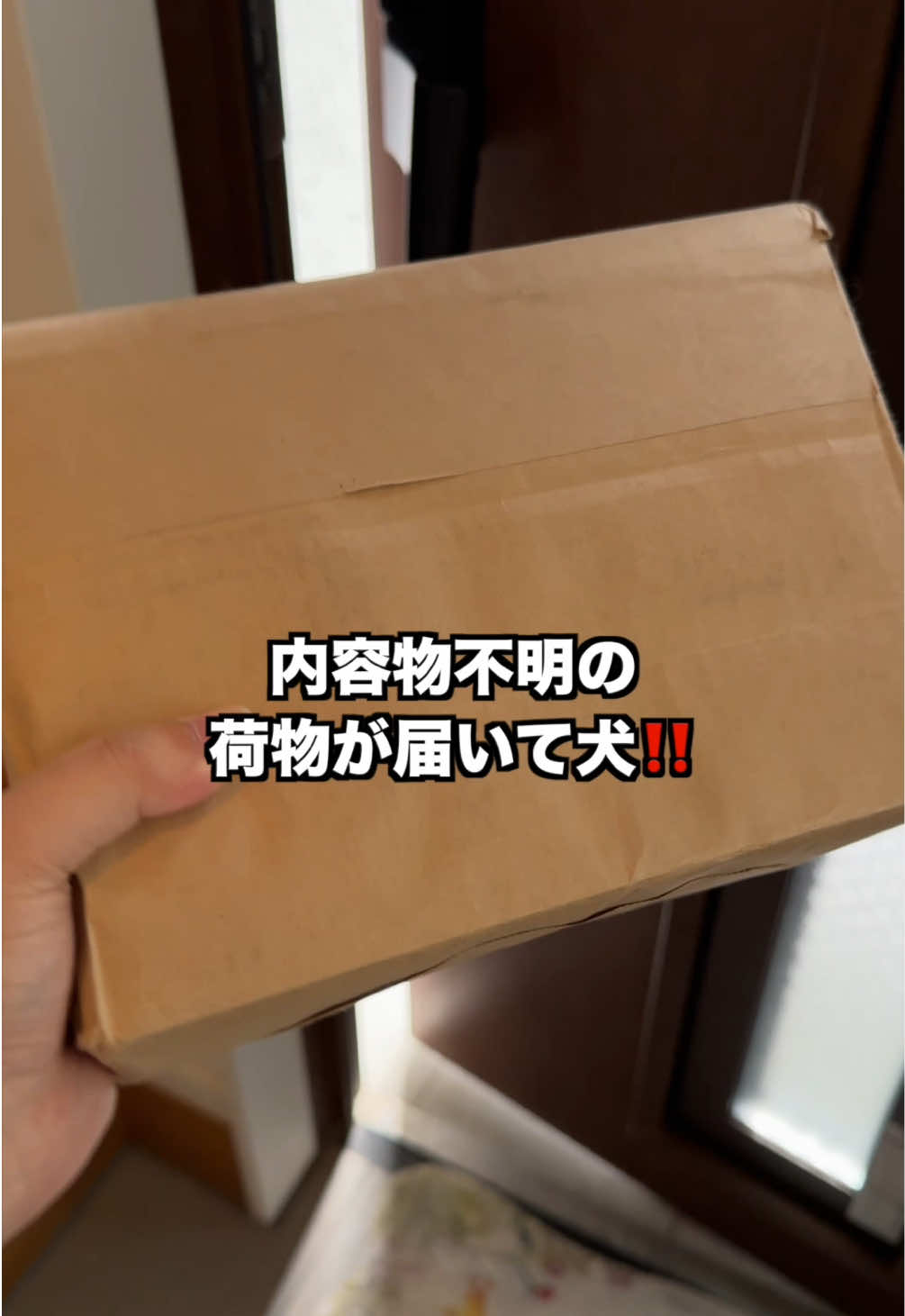TikTok post by @cheer.himawari for Doggy Box. Caption reads: 毎月中身不明の荷物が届きます笑 @Doggy Box さんから商品を提供されています。....